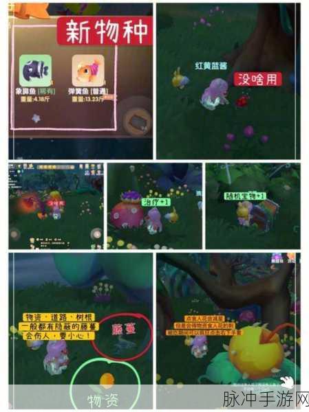 摩尔庄园手游黑森林宝箱全攻略，位置详解与寻宝指南