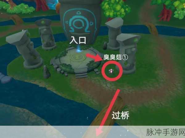 摩尔庄园手游黑森林宝箱全攻略，位置详解与寻宝指南