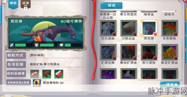 创造与魔法，深渊视界全面解析与攻略
