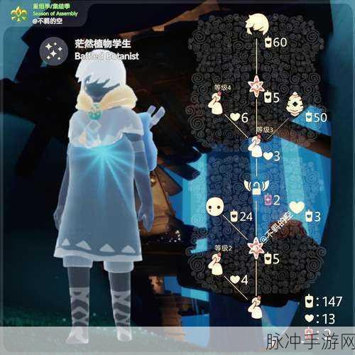 光遇雨林冥想位置全揭秘 探索神秘之旅
