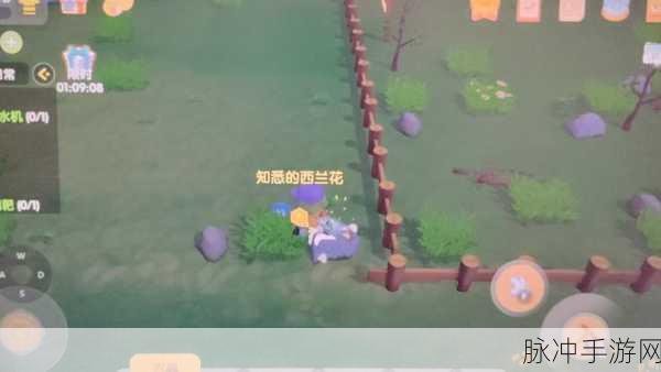 摩尔庄园手游卡兰花获得途径全攻略