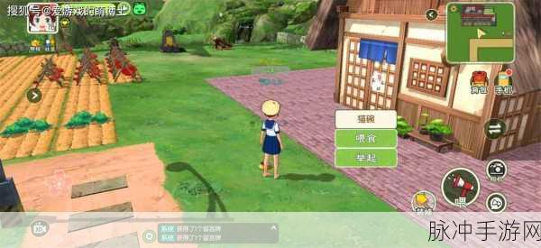 小森生活手游攻略，炎热天气抗热服饰选择全解析