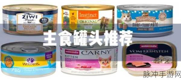 最强蜗牛猫罐头的奇妙用途全解析
