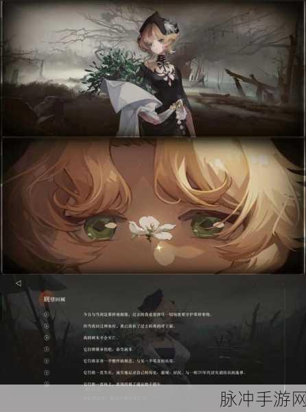重返未来1999深度解析，槲寄生角色全攻略