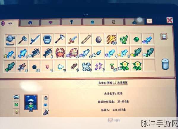 星露谷物语，揭秘大海参垂钓秘籍