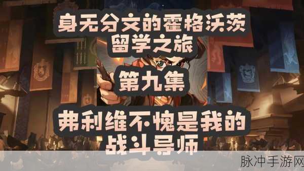 哈利波特魔法觉醒弗立维回响效果深度解析与实战攻略