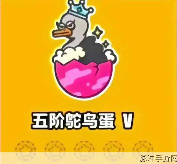 蛋仔派对段位全解析，游戏段位详细说明与攻略