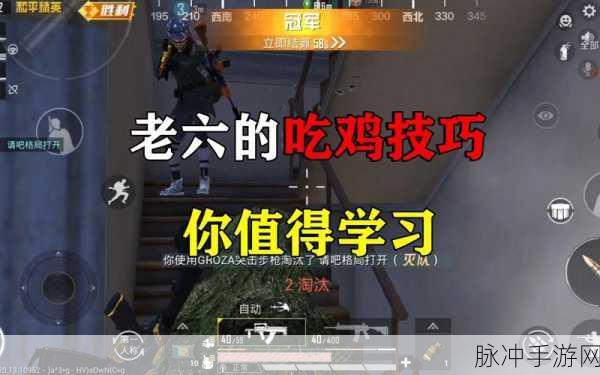 和平精英信号圈玩法深度剖析，策略布局助你战场称雄，轻松问鼎吃鸡