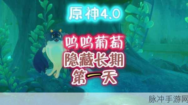 原神工程师笔记喂养呜呜葡萄第二天完美攻略指南