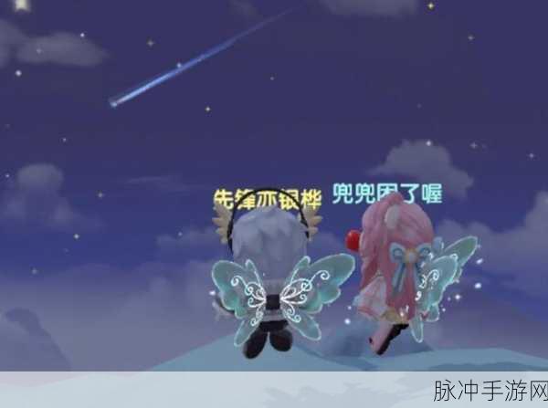 摩尔庄园流星雨许愿全攻略，捕捉夜空中的璀璨愿望