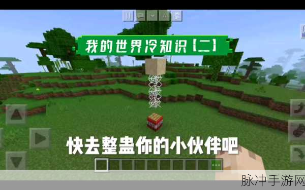 我的世界最新版超全冷知识大揭秘
