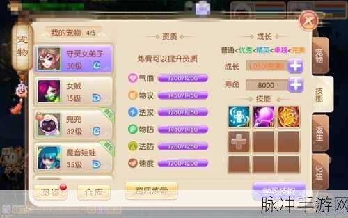 梦幻诛仙手游，仙侣修炼的深度探索与作用剖析