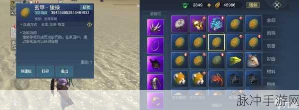 妄想山海手游攻略，解锁万年图制作与合成万年图谱的奥秘
