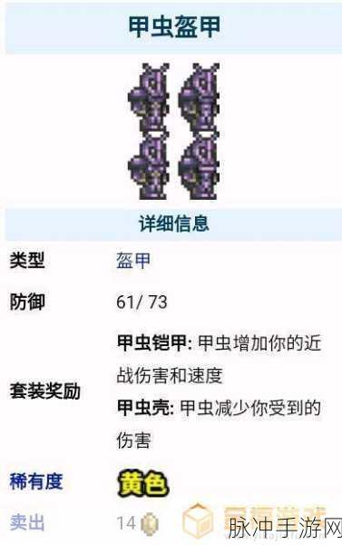 泰拉瑞亚甲虫套全方位解析与制作指南
