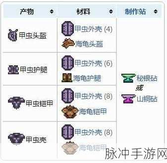 泰拉瑞亚甲虫套全方位解析与制作指南