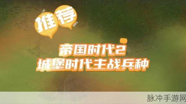 帝国时代2手游攻略，如何高效快速发展到城堡时代