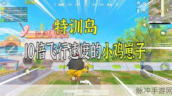 和平精英，揭秘变成小鸡后队友如何看到你的秘密