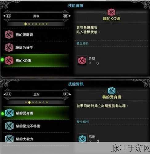 怪物猎人3手游攻略，深度解析如何吃猫饭