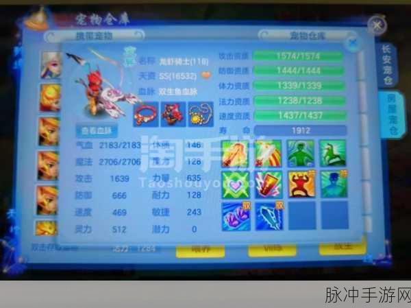 神武3手游普陀宝石选择深度解析