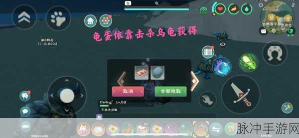 创造与魔法手游攻略，深度解析乌龟生产龟蛋的机制