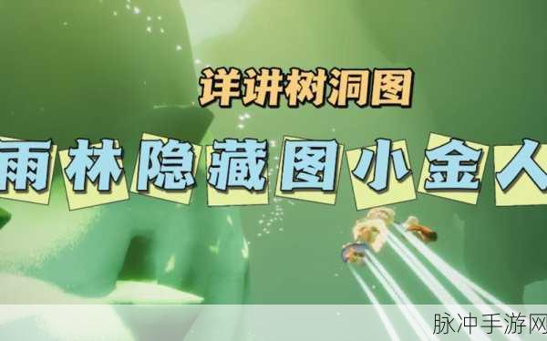 光遇雨林首个先祖消失之谜与树洞难题破解指南