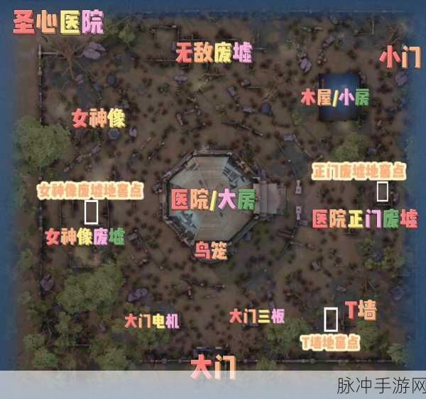 深入探索第五人格不归林，神秘地图的全方位剖析
