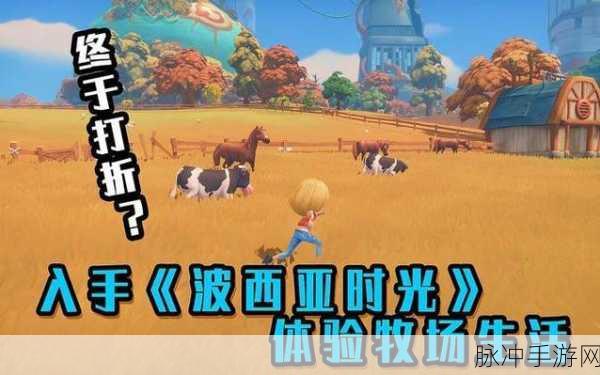波西亚时光，掌握拍照功能，记录美好瞬间