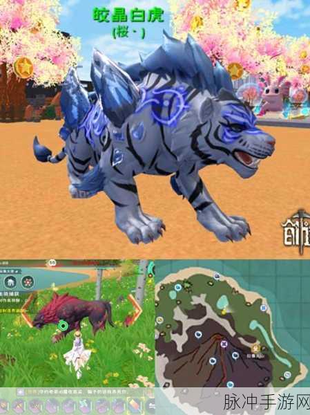 创造与魔法，皎晶白虎合成秘籍大公开