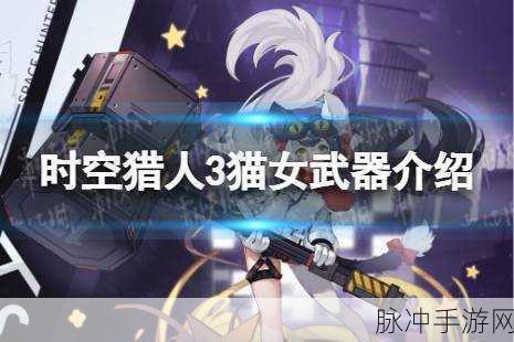 时空猎人3猫女伊西丝专属武器深度解析