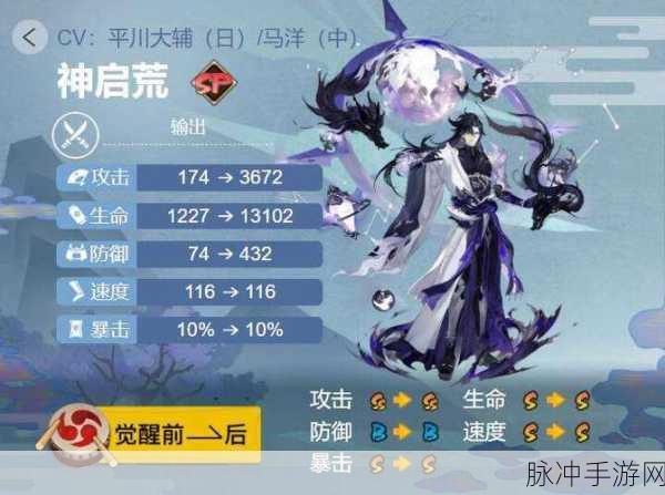 阴阳师SSR荒御魂搭配全攻略