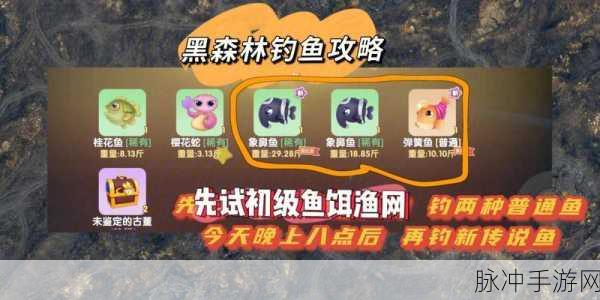 摩尔庄园象鼻鱼的钓取方法及钓鱼位置与刷新时间全解析指南
