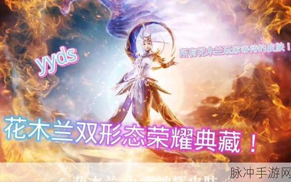 王者荣耀花木兰典藏皮肤价格深度解析与攻略指南