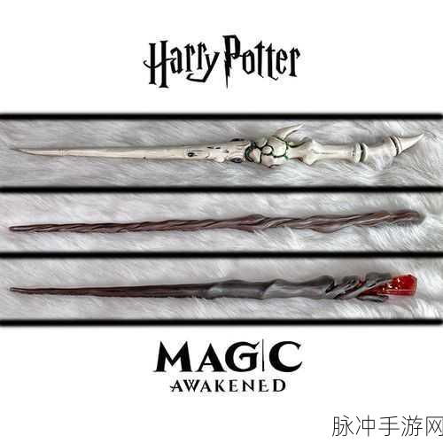 哈利波特魔法觉醒，揭秘接骨木魔杖的获取之道