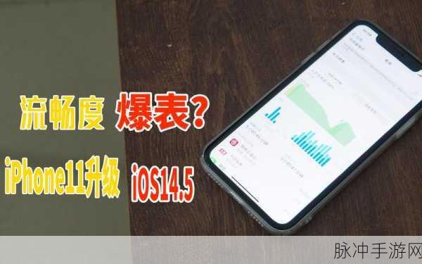 小马模拟器运行怪物猎人4G流畅度全解析