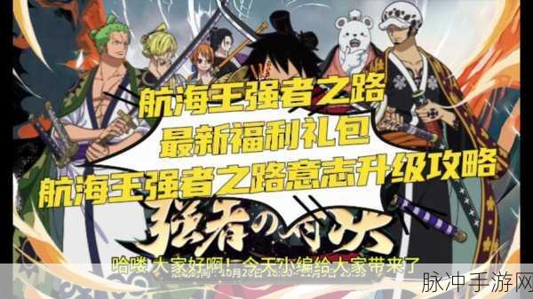 航海王强者之路，回收与重生的深度攻略指南