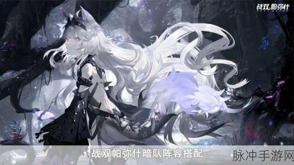 战双帕弥什2020暗队搭配全攻略，最新阵容搭配深度解析