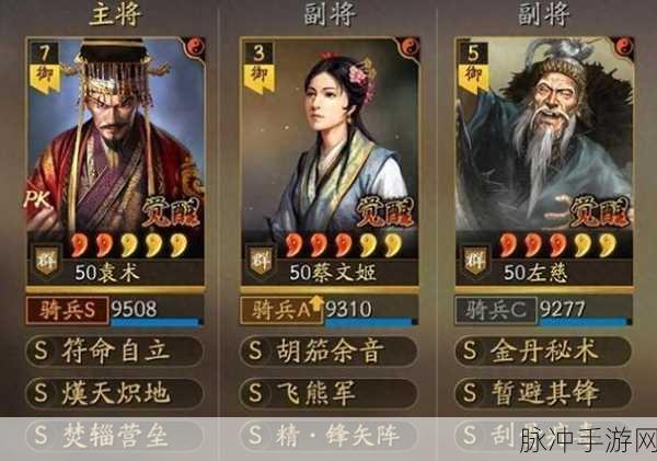 三国志战略版袁术战法深度解析与阵容搭配指南