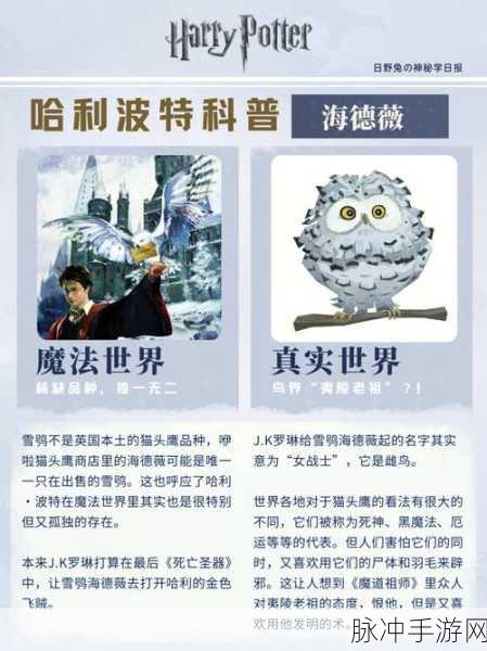 哈利波特魔法觉醒猫头鹰功能全解析
