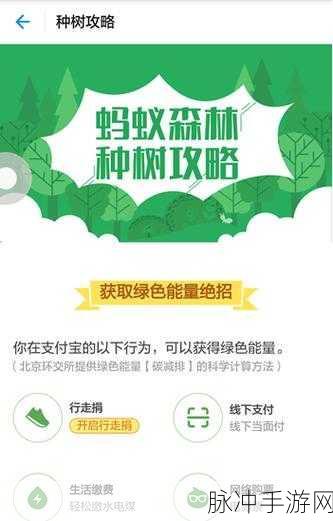 OPPO R15 支付宝快捷支付指南，畅玩手游无阻碍