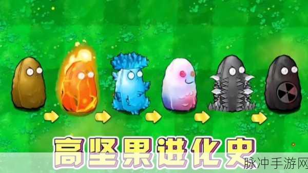 植物大战僵尸中那些被冷落的无用植物