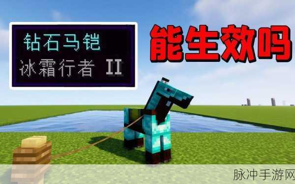 我的世界手游，冰霜行者等级大揭秘