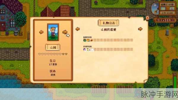 星露谷物语深度攻略，揭秘山姆的喜好与互动技巧