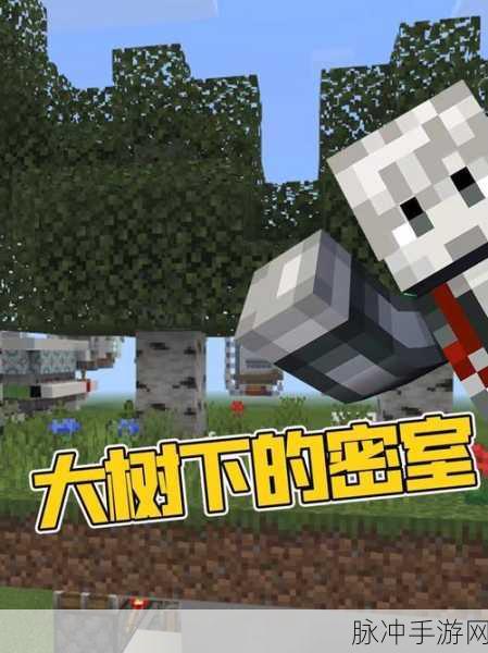 我的世界手游，打造神奇地面隐藏门秘籍