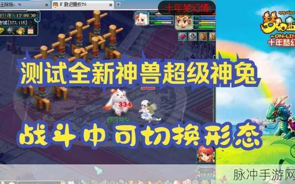 梦幻西游手游超级神兔全面解析，数值预测与入手前瞻