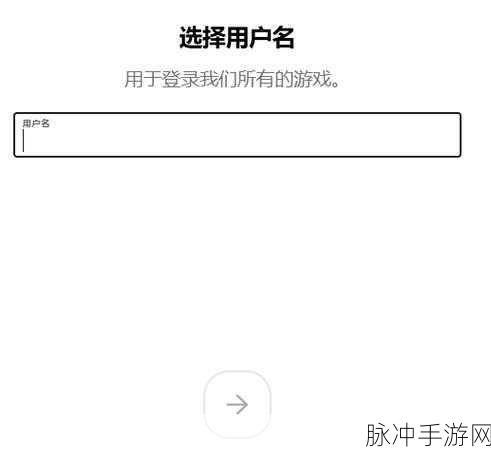 云顶之弈美测服账号注册全攻略，解锁PBE测试服的精彩世界