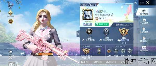 和平精英面部自定义代码大揭秘