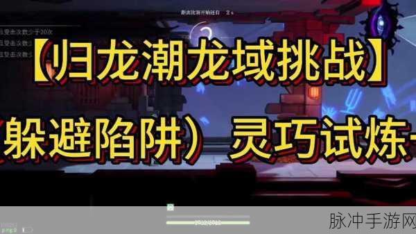 归龙潮探秘龙域，深度攻略指南