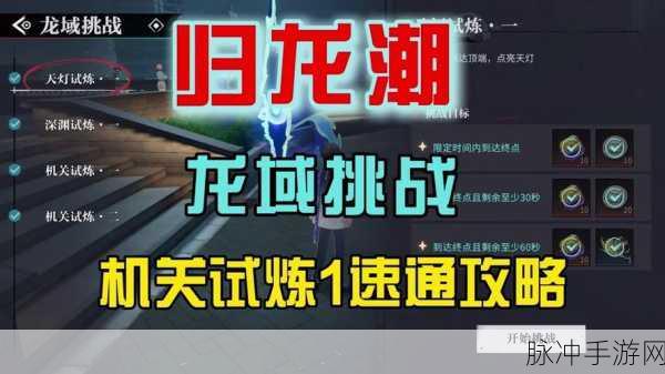 归龙潮探秘龙域，深度攻略指南
