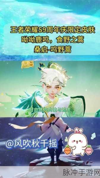 王者荣耀桑启二技能释放攻略，解决无法使用的问题