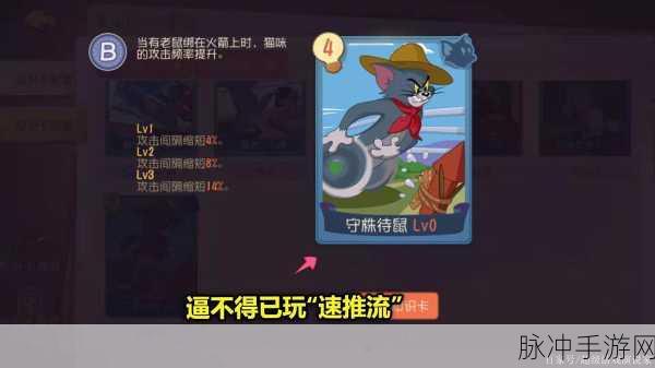 猫和老鼠手游，猫咪角色知识卡搭配全攻略